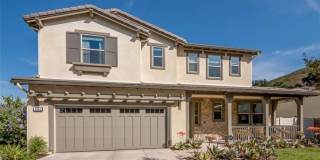 4944 Princess Gallery 1