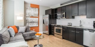 Lex and Leo at Waterfront Station Gallery 9