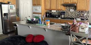 9420 Rainbow Falls Way Gallery 14