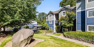Avana Chestnut Hill Gallery 43