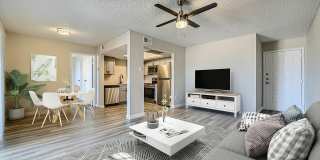 Rise Spring Pointe Gallery 39