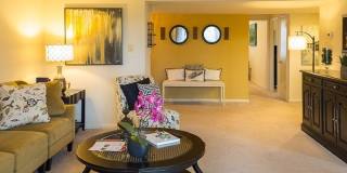 Bay Hills Gallery 16