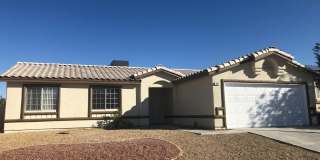 Showings Available NOW Gallery 1