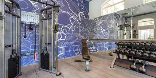 Carlyle Townhomes Gallery 5