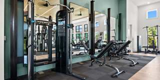 The Averly Collins Hill Gallery 26