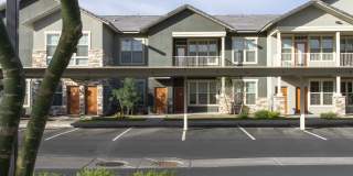 Ironwood at Happy Valley Gallery 19