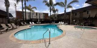 Meadowlark Gallery 6