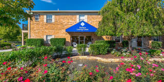 Deertree Gallery 11