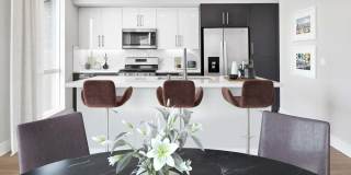 The Linden Gallery 4