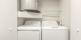 Birchwood Park Gallery 51