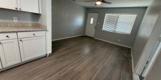 Welcome to St. Petersburg!!! Gallery 9