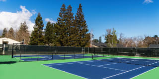 Sharon Green Gallery 53