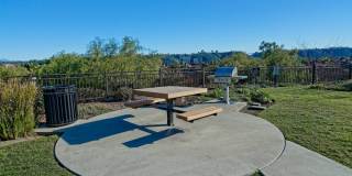 2901 Escala Circle Gallery 21