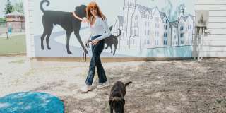Bradlee Danvers Gallery 43