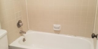 Forest Ridge Gallery 87