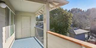 Colony Park Gallery 5