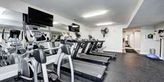 Linden Square Gallery 72