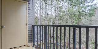 Kitts Corner Gallery 14