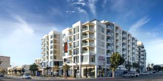 Vivo on Harbor Gallery 1