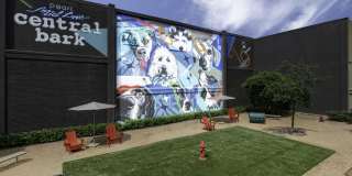 The Briscoe River Oaks Gallery 8