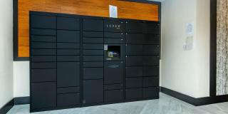 RIZE at Winter Springs Gallery 37