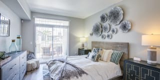 Avana Coronado Gallery 5