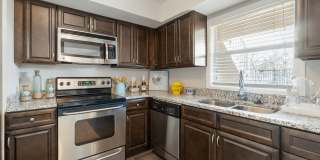 Sea Oats Sea Oats Gallery 87