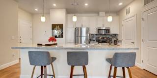 Latitude 31 Gallery 4