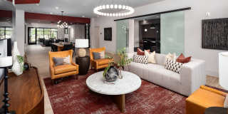 Altera Union City Gallery 13