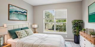 Bridford Lake Gallery 6