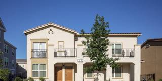 East Meadows Gallery 15