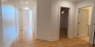 The Wolf Building Gallery 106