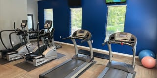 Goldelm at Cedar Bluff Gallery 9