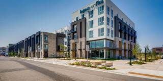 Legacy at Fitz Gallery 21