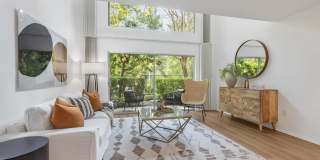 The Aspen South Coast Gallery 7