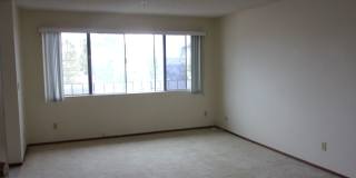 411 Gallery 5