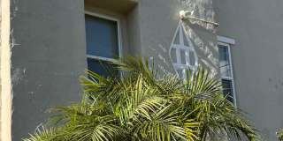 The Palms On Seminary Gallery 33