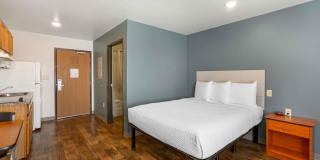 Phoenix - North Gallery 15