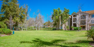 Central Park Gallery 23