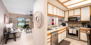 28914 Desert Princess Drive Gallery 3