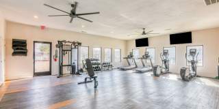 The Madrid Gallery 49