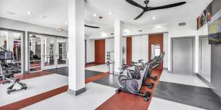 Haven at Mansfield Gallery 20