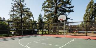 Mansion Grove Apartments Gallery 10