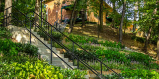 Nob Hill Apartments Gallery 6