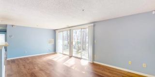 Room in 3 Bedroom Home at Arlyn Cir Gallery 8