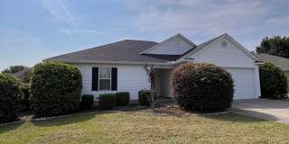 Branch Point S/D home Gallery 1