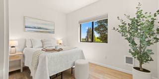 Selah Selah Gallery 1