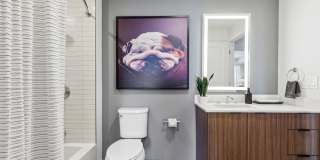 J Coopers Row Gallery 63
