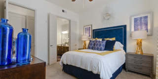 Terra Lago Gallery 17