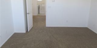 8513 ORLY Avenue Gallery 24